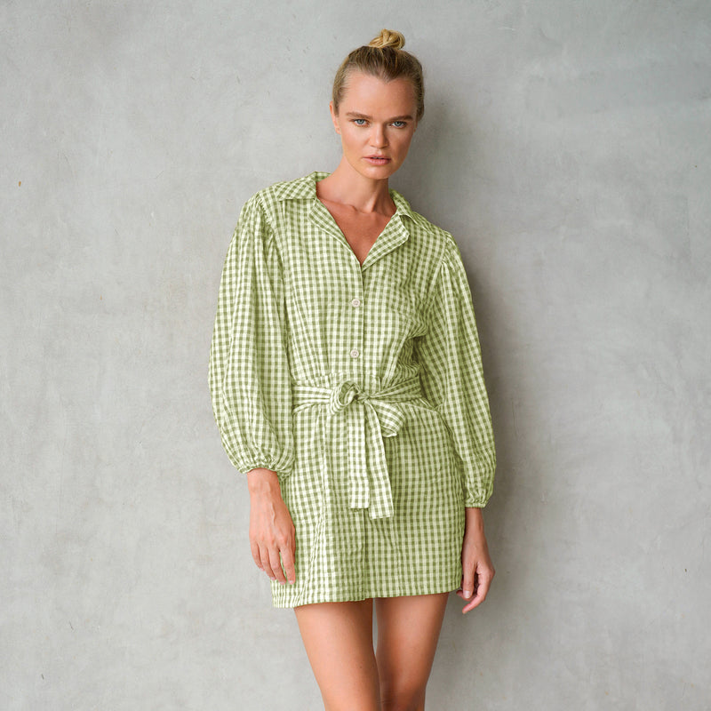 Meghan Gingham Holiday Dress in Lime Green