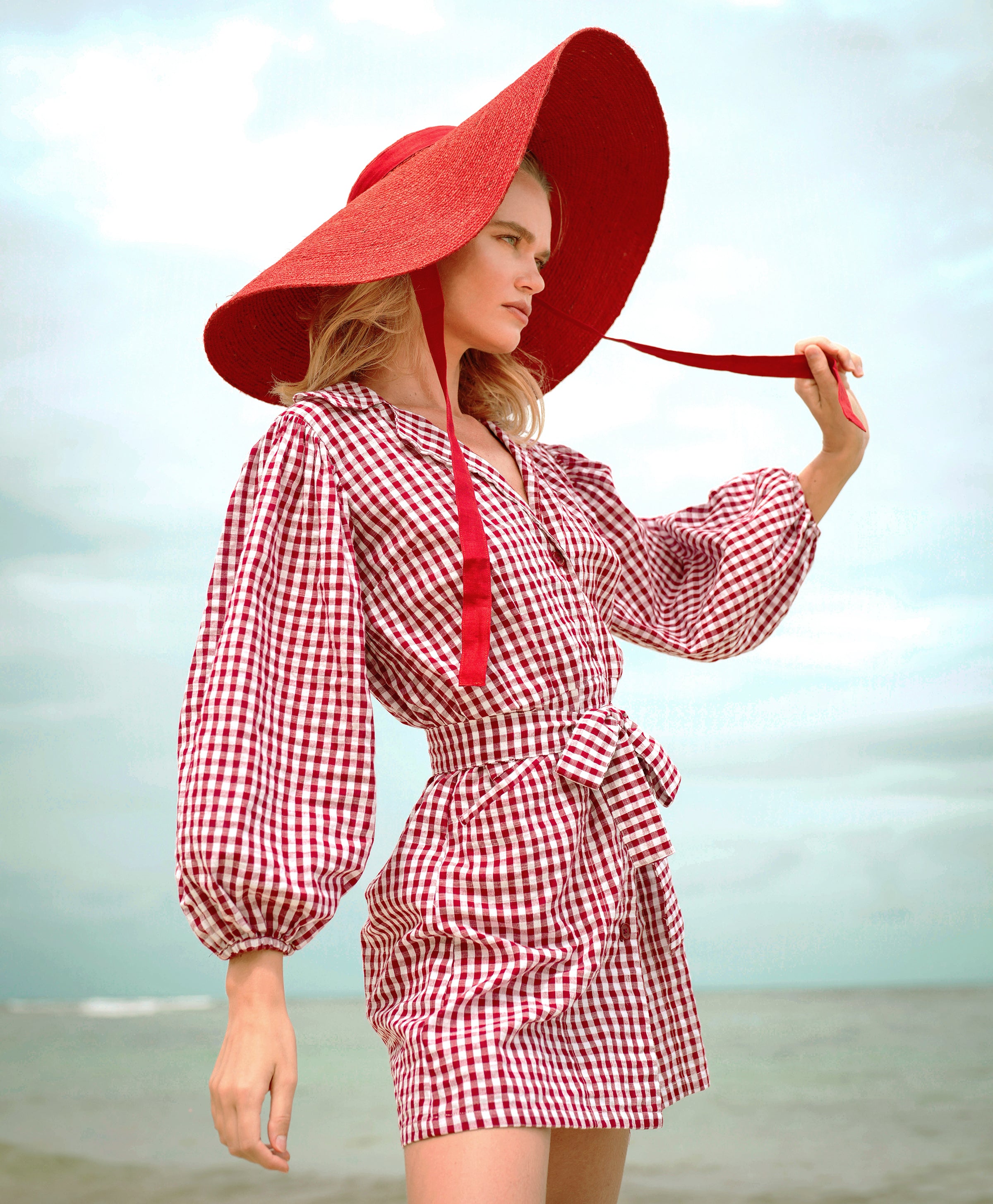 Red gingham dress online